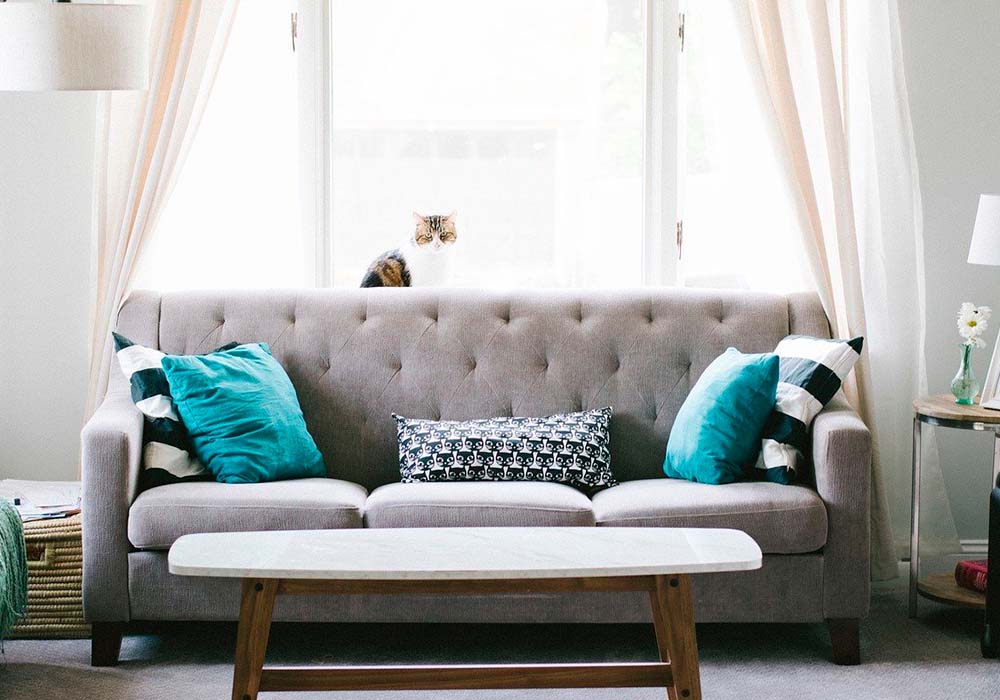 Imagen de producto 1